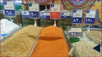 ارتفاع الأسعار.. الفول السائب والعدس الأصفر يشهدان زيادة ملحوظة في الأسواق اليوم